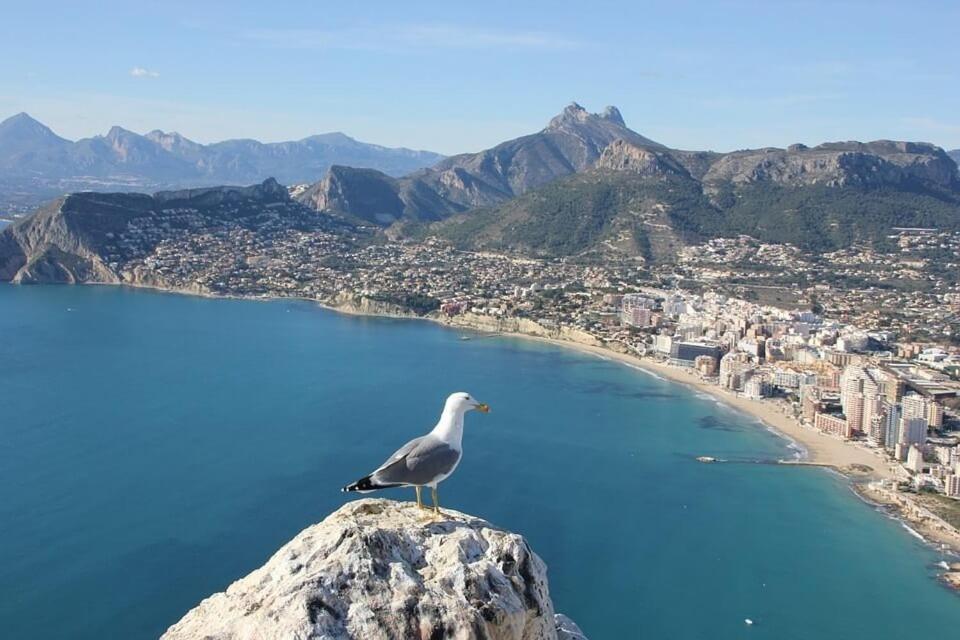 Apartamento Arenal 3 - Plusholidays Calpe Exterior photo
